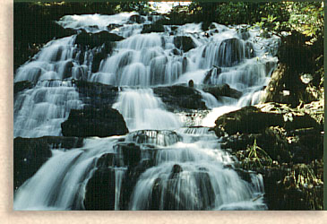 Trahlyta Falls at Vogel State Park