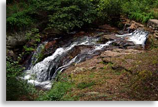 Thomastown Road Falls - Behind Young Harris College