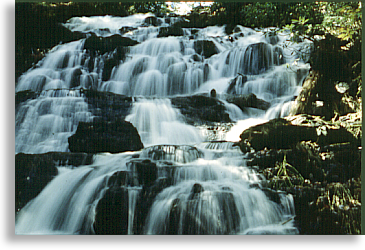 Trahlyta Falls at Vogel State Park