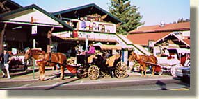 Alpine Village of Helen, Georgia