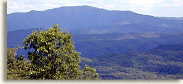 Cohutta Mountain Wilderness in Polk County Tennessee
